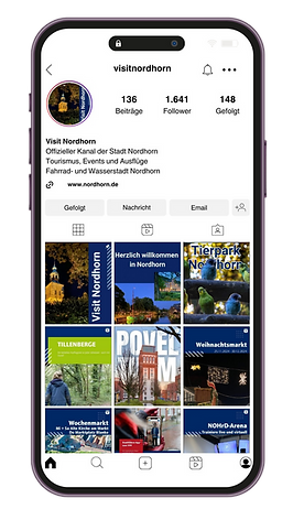 iPhone Mockup VN PNG.png