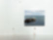 Art Exhibition