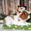 Thumbnail: Adorable Cavalier King Charles Spaniel puppy