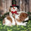 Thumbnail: Adorable Cavalier King Charles Spaniel puppy