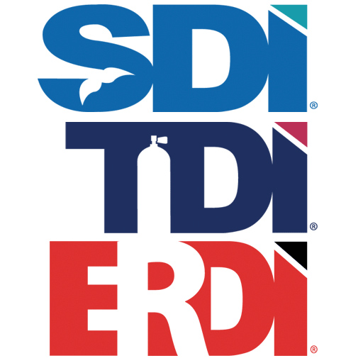 sdi, tdi, erdi