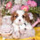 Thumbnail: Adorable Cavalier King Charles Spaniel puppy