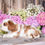 Thumbnail: Adorable Cavalier King Charles Spaniel puppy amidst hydrangeas