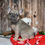 Thumbnail: Adorable blue French bulldog puppy
