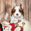 Thumbnail: Adorable Cavalier King Charles Spaniel puppy with snowman toy