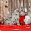 Thumbnail: Adorable merle French Bulldog puppy