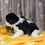 Thumbnail: Adorable Cavalier King Charles Spaniel puppy