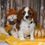 Thumbnail: Adorable Cavalier King Charles Spaniel puppy