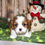 Thumbnail: Adorable Cavalier King Charles Spaniel puppy near snowman