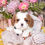 Thumbnail: Adorable Cavalier King Charles Spaniel puppy nestled in soft toy