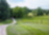 Hickory Lane Farms