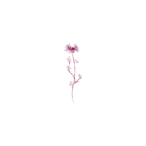 Untitled design (7).png