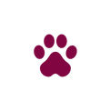 Untitled design (14).png