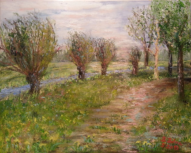 Mai_2013_Kopfweiden_in_den_Gosener_Wiese