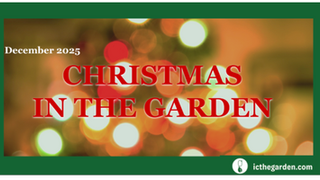 December 2025: Jesus - Light of the world