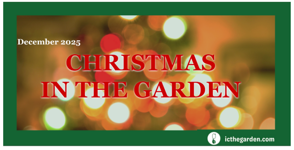 December 2025: Jesus - Light of the world