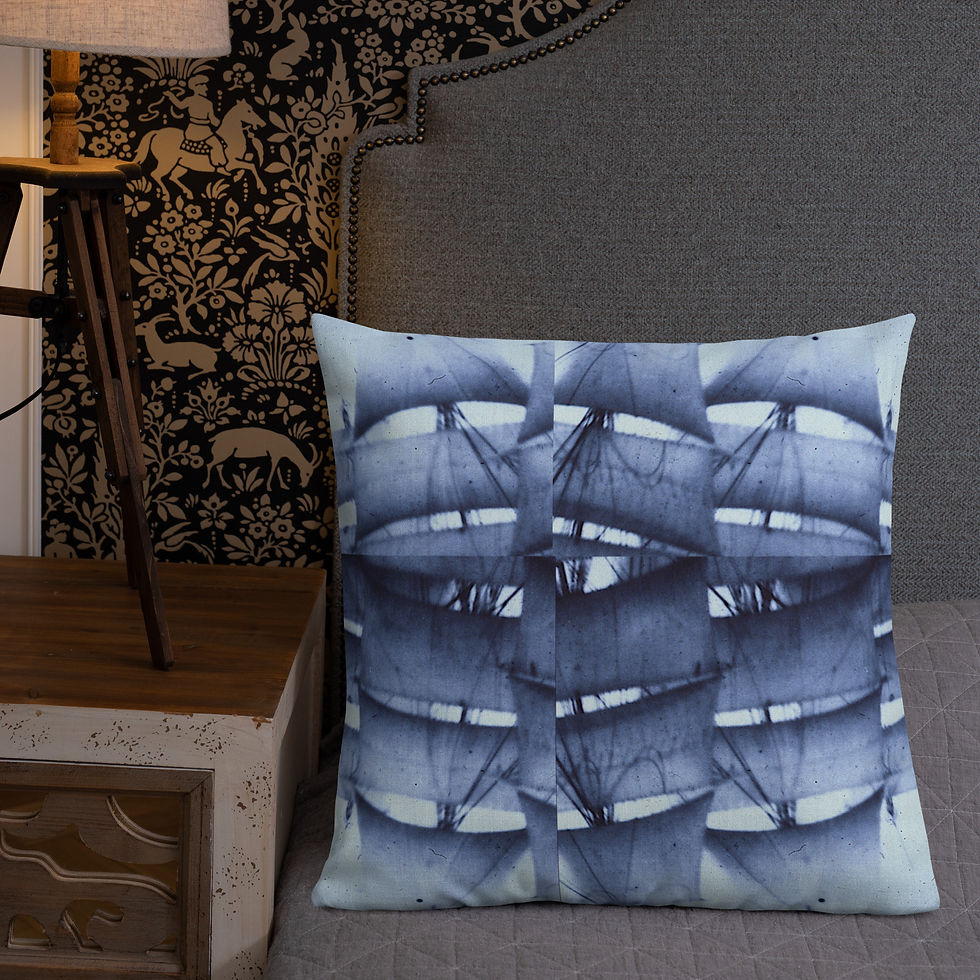 Thumbnail: In Arctic or Antarctic Seas Premium Pillow –  Oh Buoy