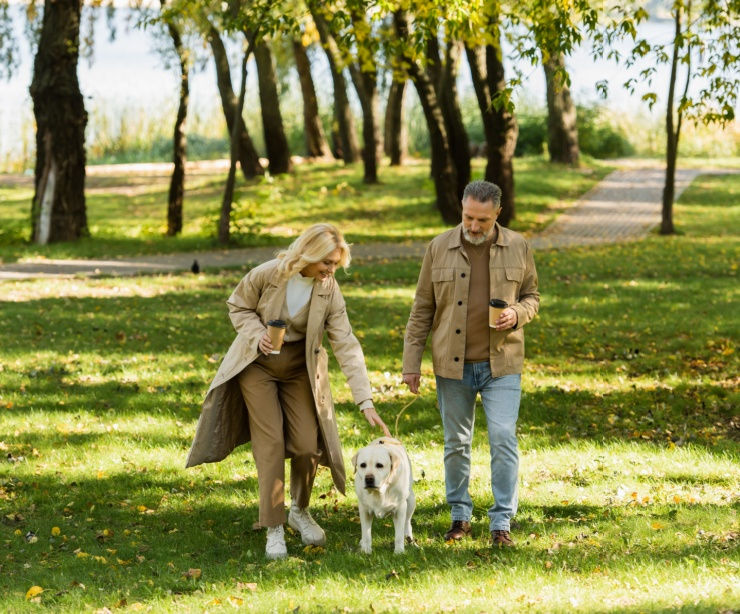 The Capital Gains Tax essentials you need to know