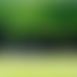 How has Covid-19 affected ESG investing? Signs suggest it could become mainstream