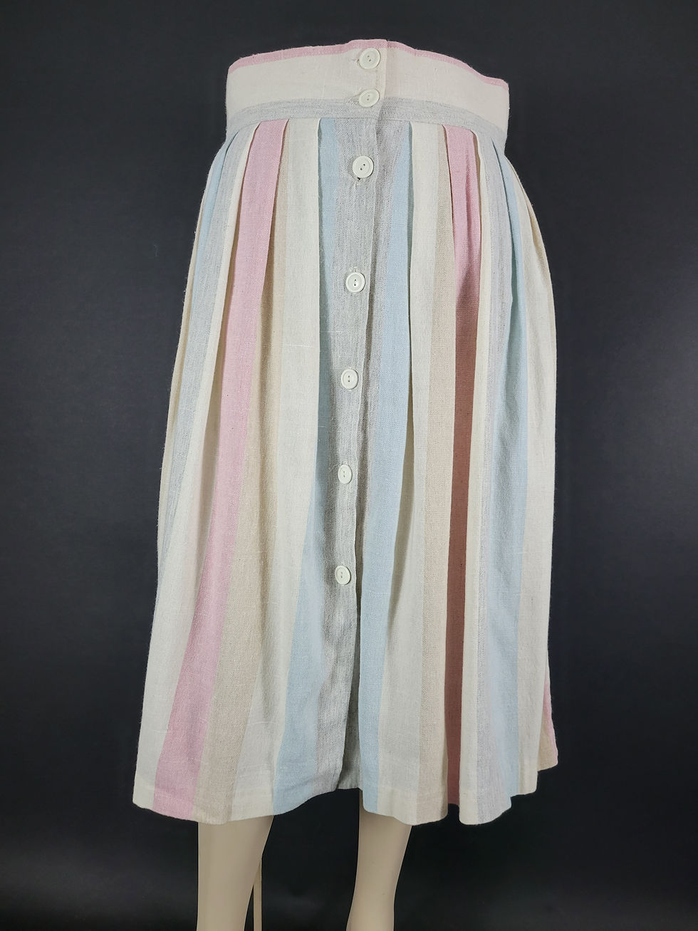 Vintage Muted Pastel Striped Button Front Pleated Skirt View Two