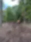 Land Clearing Image.webp