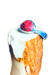img_0604_edited.png