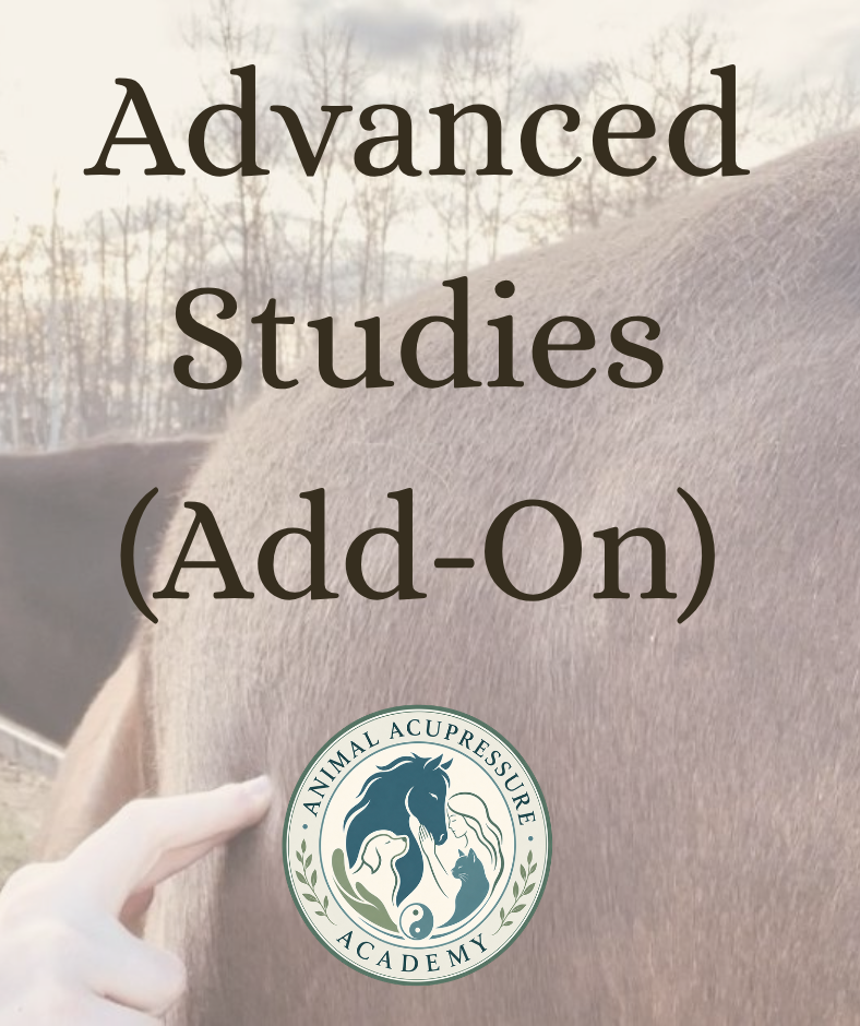 Advanced Acupressure Studies (CE) 