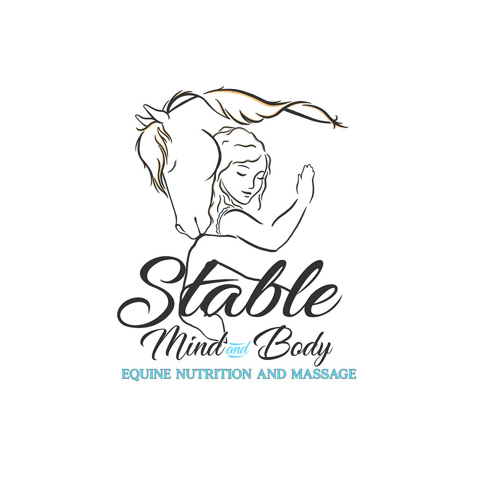 SMAB Logo JPG.jpg