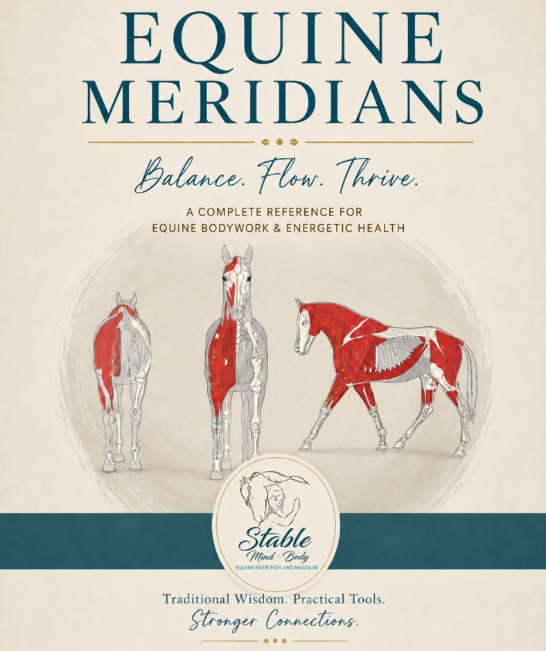Hard Copy Equine Meridian Practitioner Guide Hard Copy