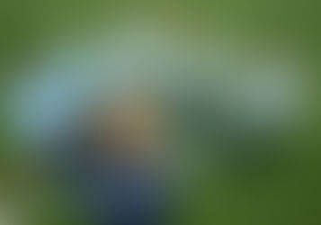 Book Coaching & Why It's Important