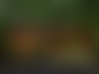 Smoky Mountain Restaurant Options | Gatlinburg Weddings