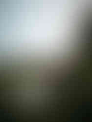 bride and groom sitting together in a white wildflower field in the smokies on an outlook for their Smoky Mountain Elopement photos