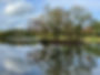 Venue Rules - Effingham Carp Fishery