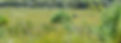 heath with ecologists small.jpeg
