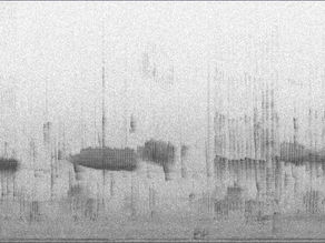 The Adventurer's Guide to Spectrograms