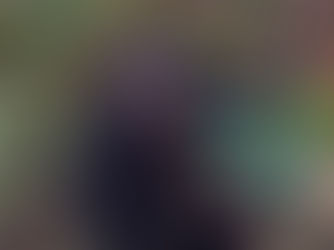 Western chimpanzee- Pan troglodytes verus (Credit: Andrew Houldcroft)