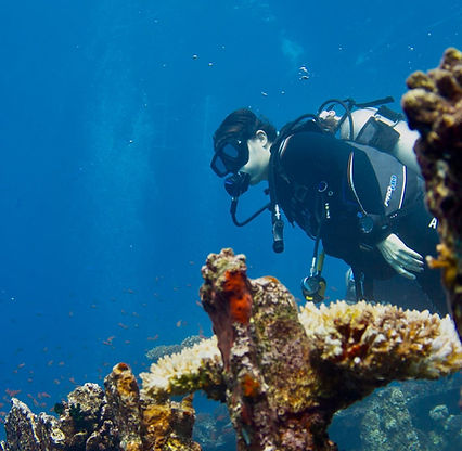 Scuba diving the Red Sea of Egypt