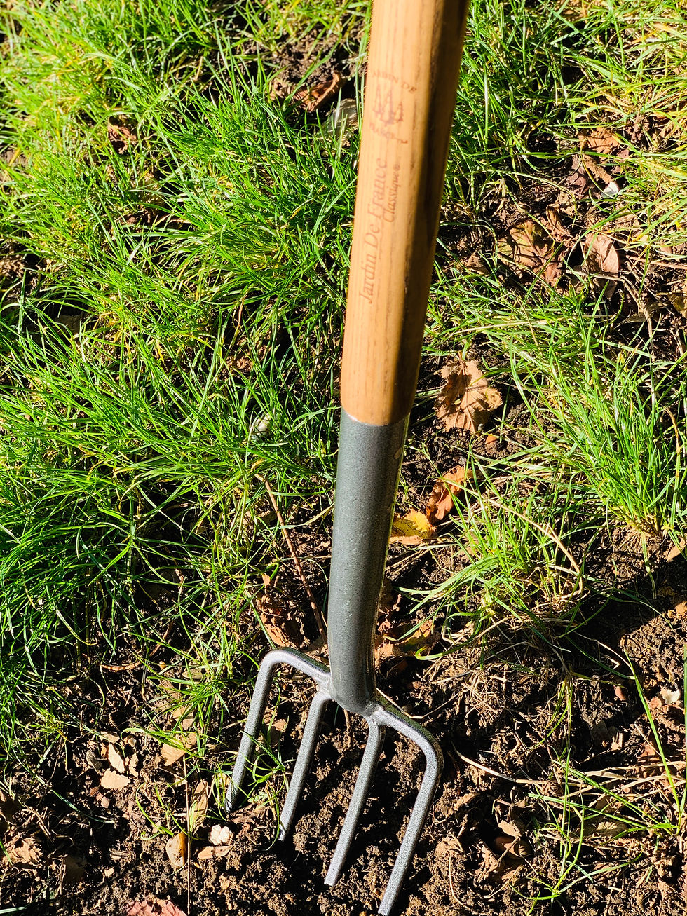 Thumbnail: BORDER FORK