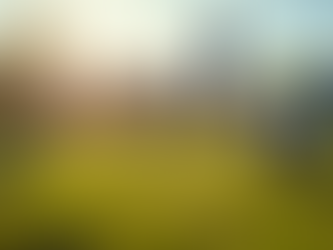 Empowering Youth Through Sports-Based Development Programs