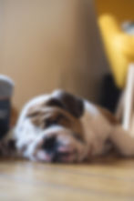 isaac-davis-BHO7K8Zf16w-unsplash