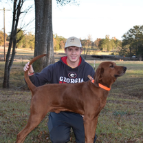 The dogs that shape us!