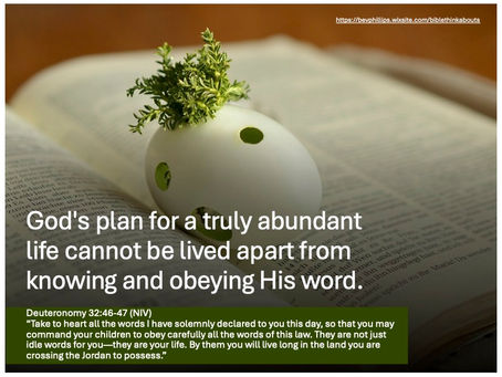 A Truly Abundant Life