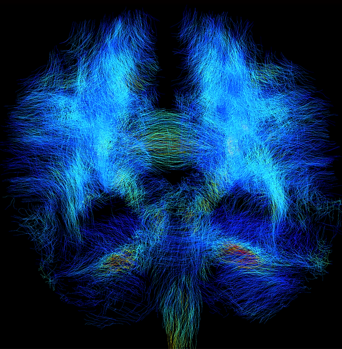 Screen Shot 2025-10-09 at 1.09.13 PM.png