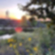 LA River nature