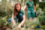 Gardening Team