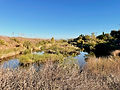 IMG_3686_edited.jpg