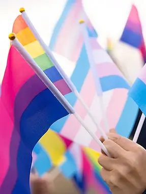 LGBTQ-pride-flags-trans.webp