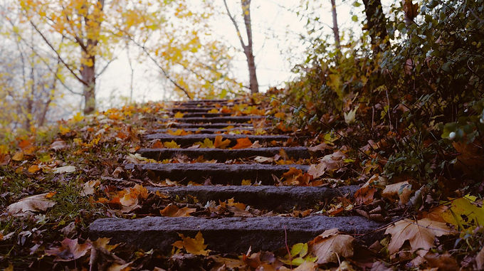 Untitled design (13).jpg