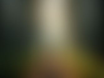 Trust Your Gut: Navigating Life's Crossroads with Intuition and Truth