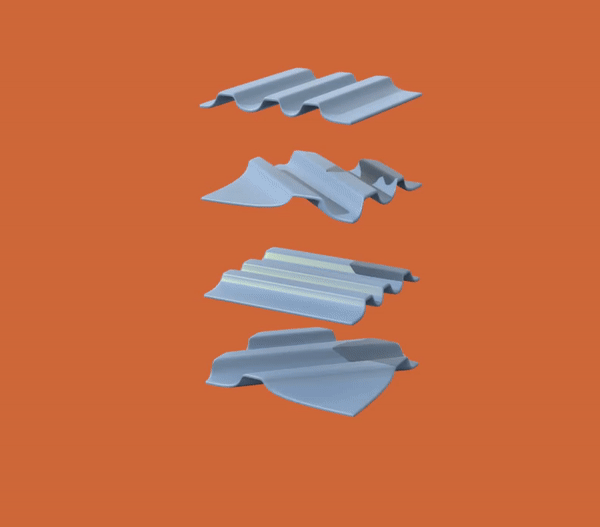 Chitin Membrane Gif.gif